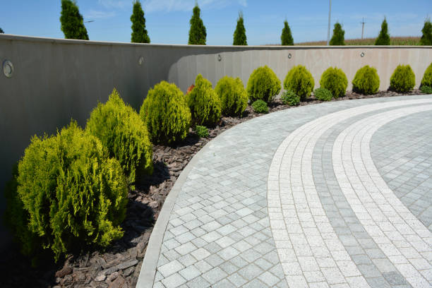 Best Professional Driveway Pavers  in Topanga, CA
